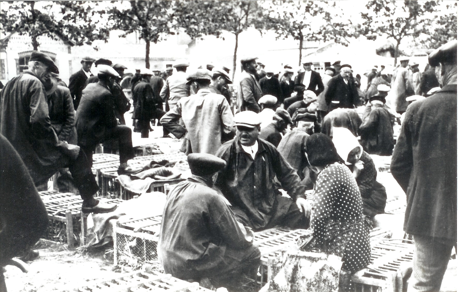 Black and white photo of a market in Western France where Pierre Doux started his business
